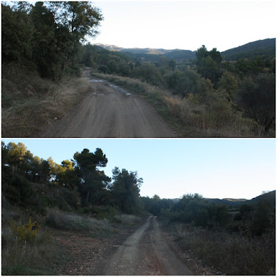 CABRA DEL CAMP-COLL DE SÀRRIA-ROC DEL COGULLÓ-EL COGULLÓ-PUIG DE COMAVERD-COLL DE VALLS, Camí de Cabra del Camp a Vallespinosa