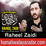 http://www.humaliwalayazadar.com/2017/10/raheel-zaidi-nohay-2018.html