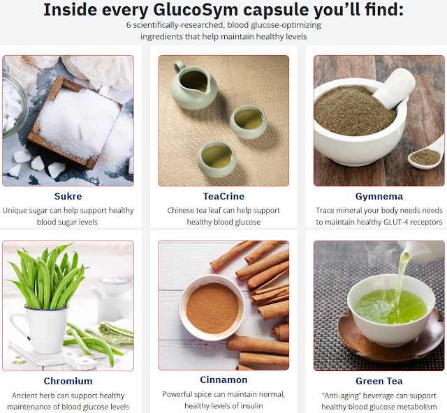 GlucoSym Ingredients