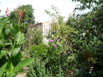 Organic forest garden with recycled glass window greenhouse