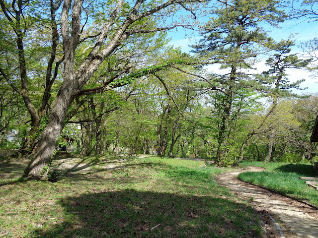 豪円山キャンプ場