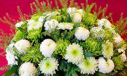 white-chrysanthemum-flowers-bouquet