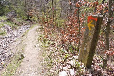 Camino de Santiago