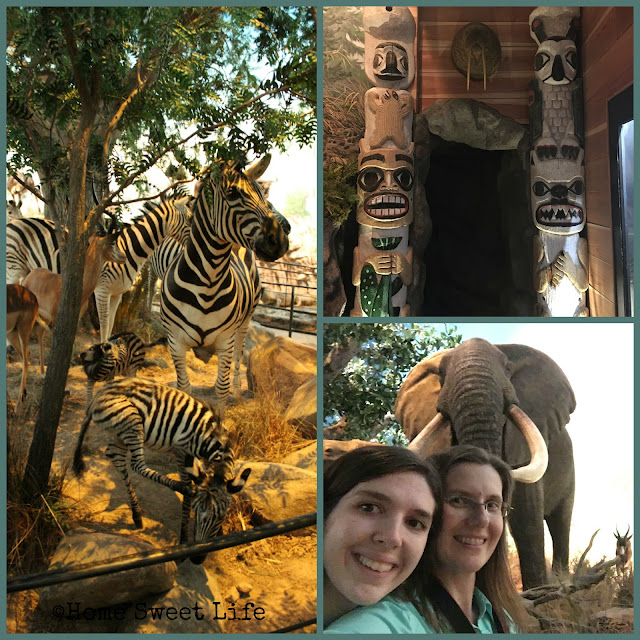 Wonders of Wildlife, Johnny Morris, Wildlife Galleries, Springfield MO, road trip, family trip, Bass Pro Shops, Inuit, African animals