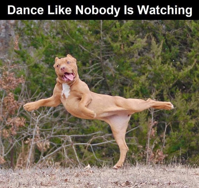 Dance Like Nobody Is Watching 