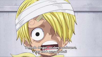 Download One Piece Episode 803 Subtitle Indonesia