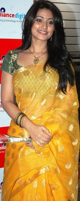 sneha in yellow saree from india hot photoshoot