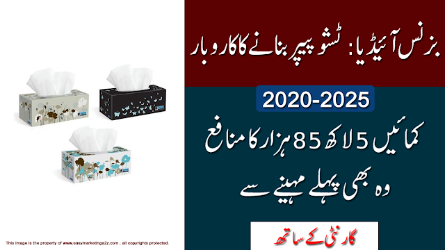 new business ideas in Pakistan 2020 بزنس آئیڈیا پاکستان کامیاب کاروبار