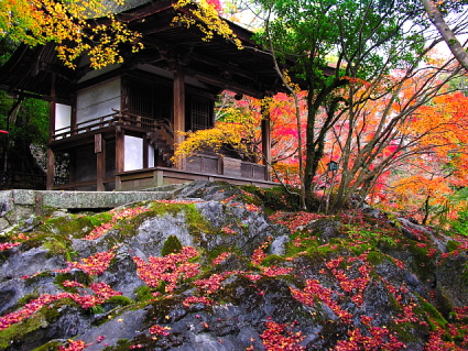 Four Seasons In Japan Autumn Colors In November