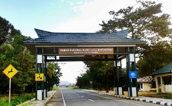 Wisata Alam Taman Nasional Rawa Aopa Watumohai Bombana