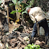 #Reportan Madrugando a Trabajar hoy martes #Dios Bendiga el trabajo de nuestros campesinos