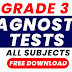 DIAGNOSTIC TEST GRADE 3
