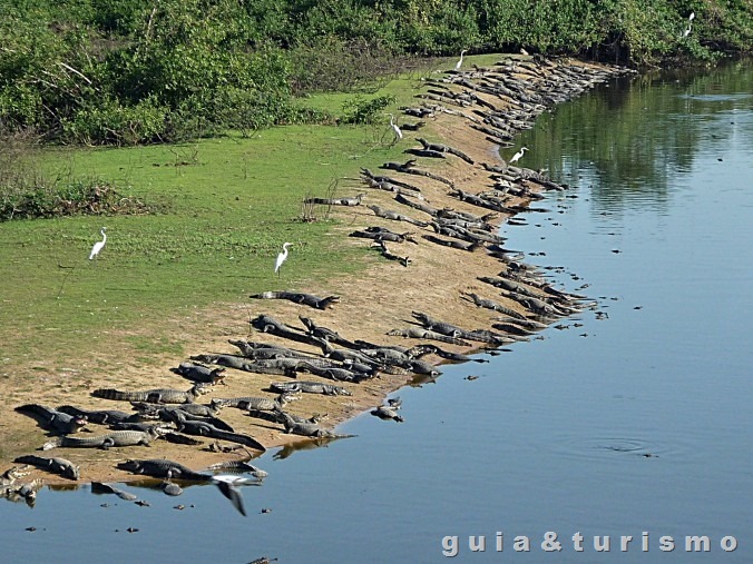 Pantanal