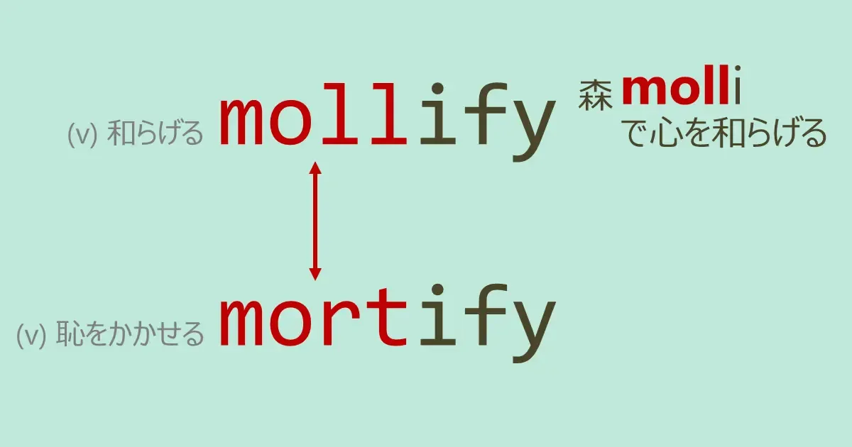 mollify, mortify, スペルが似ている英単語