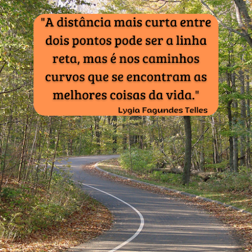 Frase de Reflexão - Caminhos Curvos: Sabedoria da Vida