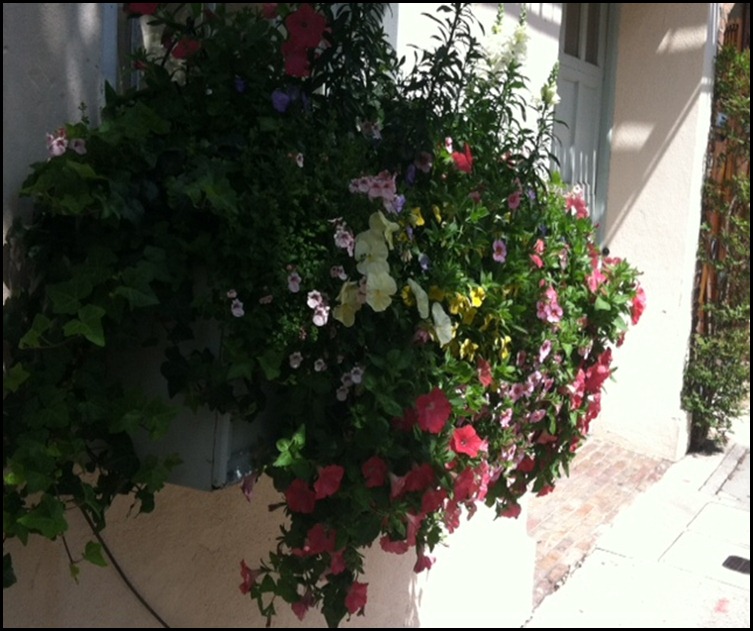 window box 1