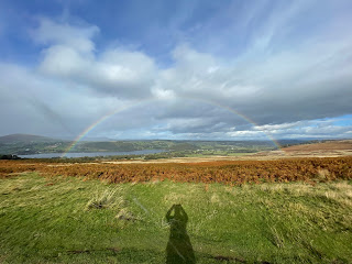 a human shadow on green grass, with a rainbow in blue sky overhead
