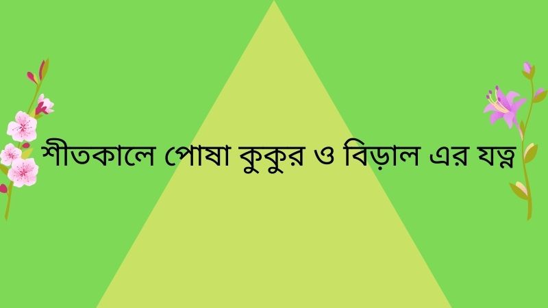 পোষা পশু পাখির যত্ন