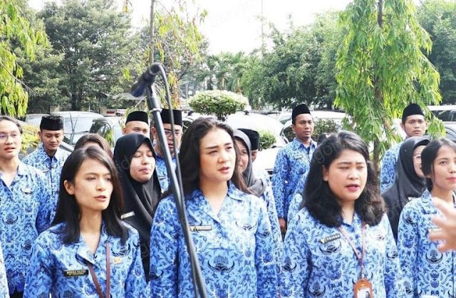 Segini Besaran Tunjangan Beras Yang Diterima PNS Perorang Perbulan