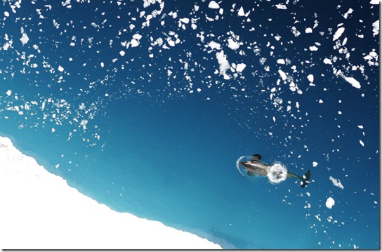 clip_image002
