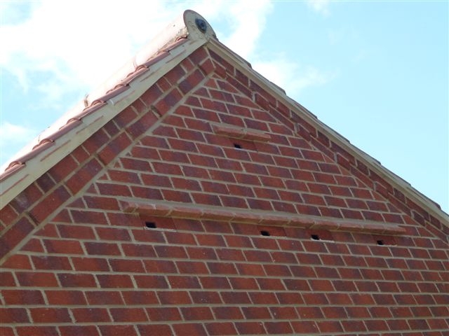 Action for Swifts: Swift boxes in a garage gable end