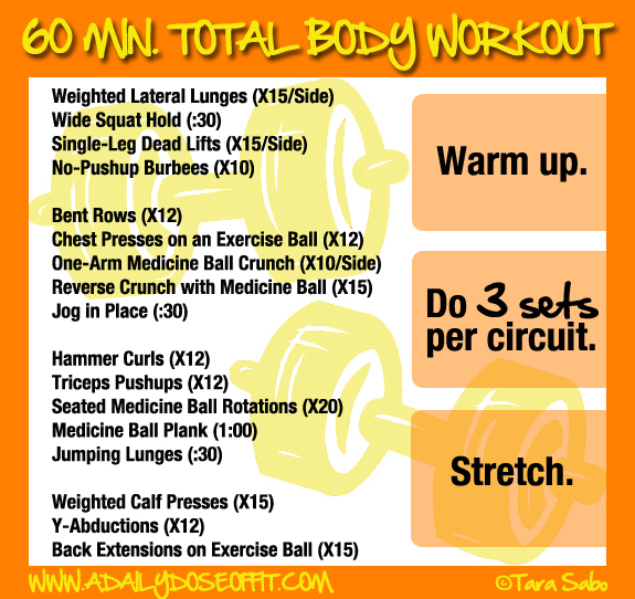 A Daily Dose of Fit: 60-Minute Total Body Workout