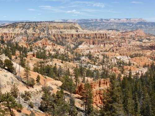 P1000824