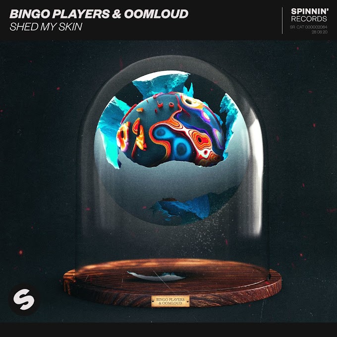 Bingo Players &amp; Oomloud - Shed My Skin (Extended Mix)