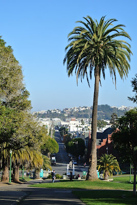 san francisco dolores park