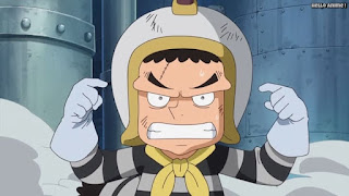 ワンピースアニメ ドレスローザ編 692話 小人族 Dwarves トンタッタ Tontatta | ONE PIECE Episode 692