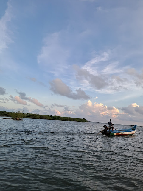 wetland water birds birding nature conservation travel pulicat lake chennai wildlife