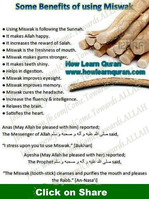 Benefits Of Using Miswak Image