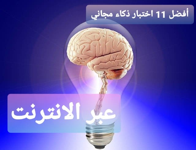 أفضل 11 اختبار ذكاء مجاني عبر الإنترنت