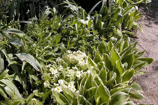 Jardin à l'anglaise, vivaces, mixed-border, plate bande