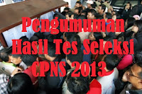 para Peserta tes CPNS 2013 bisa melihat pengumuman di situs resmi Kemenpan-RB.