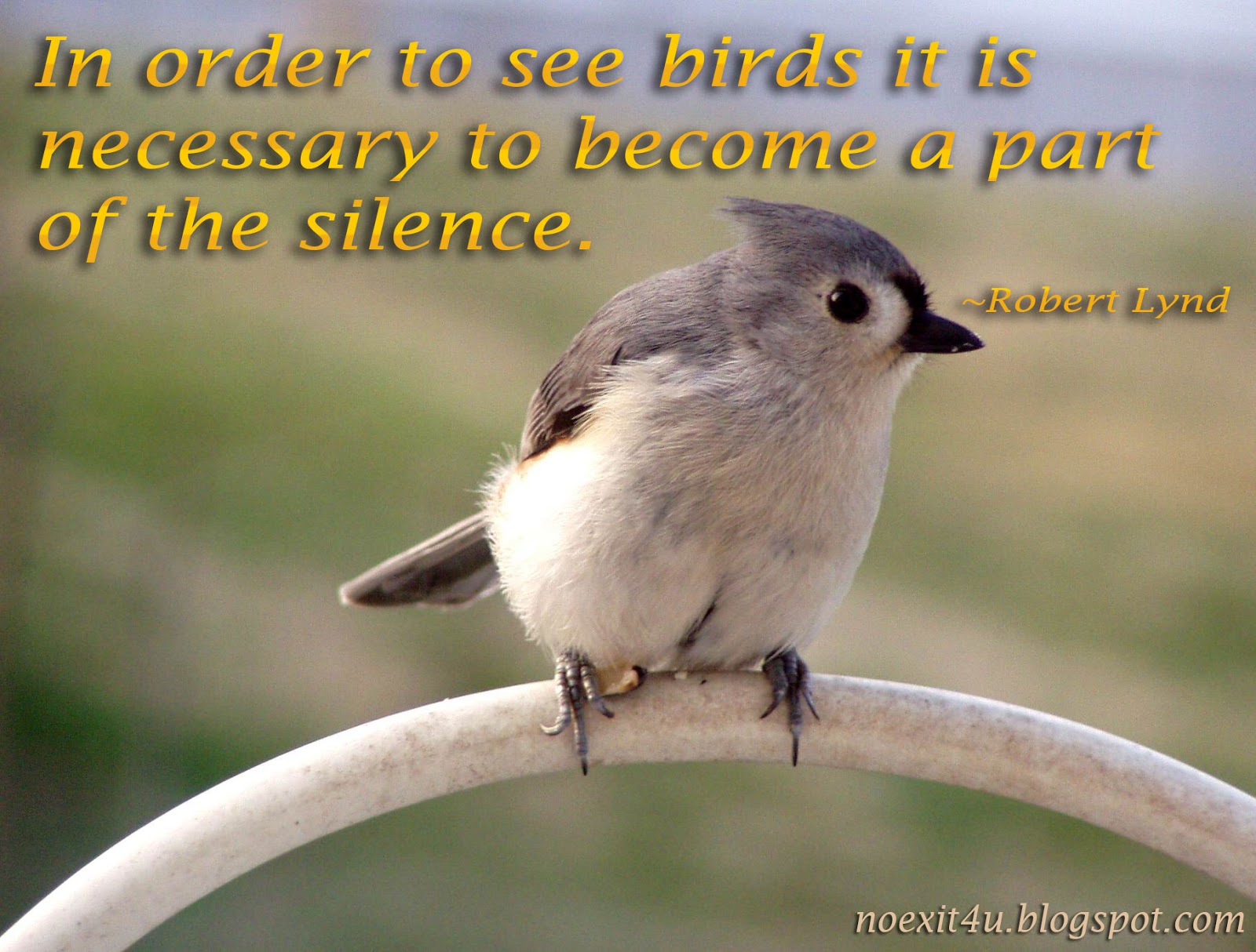 Bird By Bird Quotes. QuotesGram