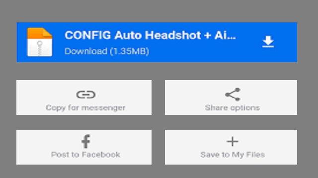 Download File Config FF