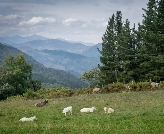 Cahecho, localidad próxima a Potes. Tiene unas vistas panorámicas impresionantes