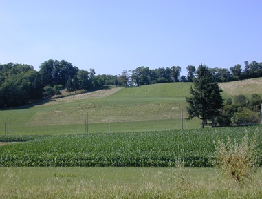 Collina