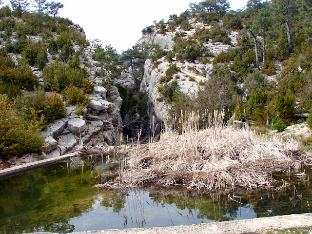 Senderismo - Coll de la Creu - Punta Boixet - Alt de la Coscollosa - Barranc de la Coscollosa