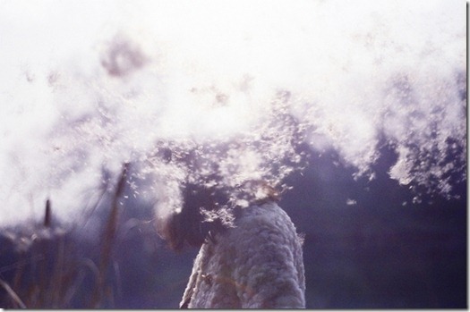 li hui portfólio (4)