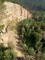 Front d'erosió oriental de la riera Gavarresa des del mirador natural