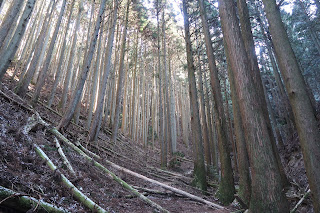 Mount Kongo