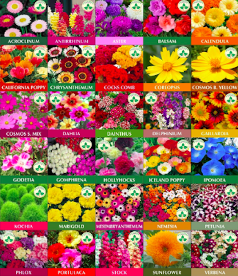 30 Different Flowers Seeds Pack