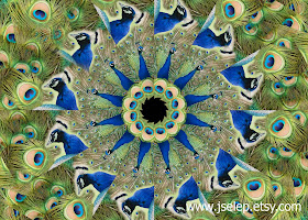 Peacock Kaleidoscope Mandala by Jeanne Selep Imaging