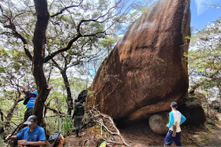 Sebanyak 12 tipe ekosistem hutan teridentifikasi di kawasan konservasi Tanagupa di Provinsi Kalbar