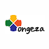  Job Opportunities at Ongeza Tanzania Limited - Customer Service Interns – 2 Positions