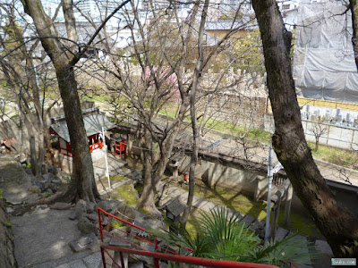 高津宮白菊神社専念神社常高神社