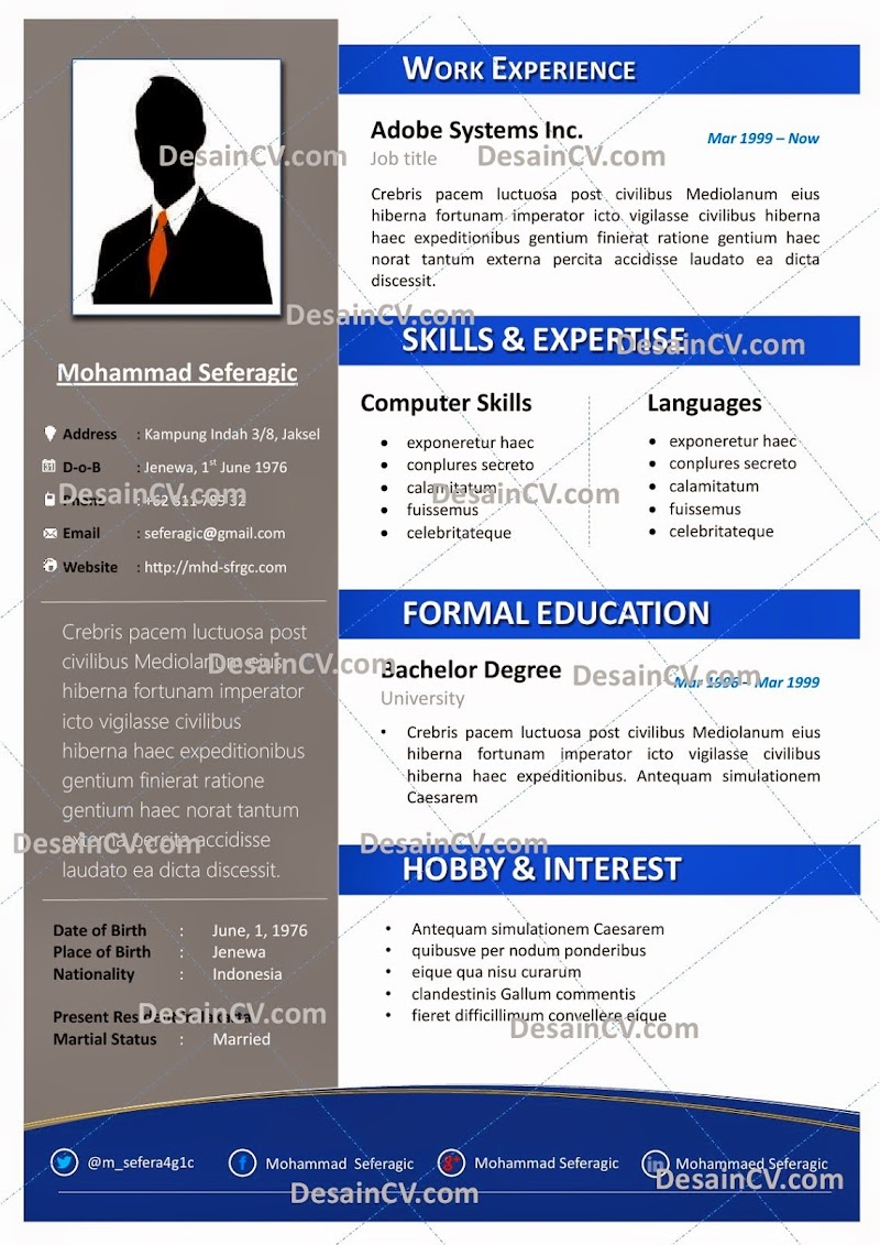 22+ Penting Contoh CV Kreatif