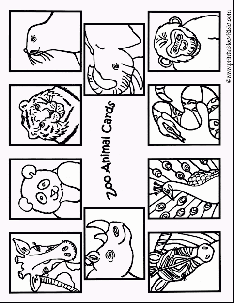 Beautiful Zoo Animals Coloring Pages Printable With Zoo Animal Coloring  Pages And Realistic Zoo Animal Coloring